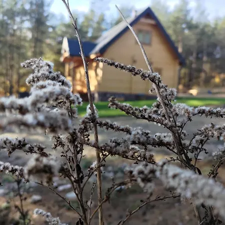 Mazurska Bania U Pana Szeptuna - Drewniany Dom Na Skraju Lasu Holiday home Lidzbark Welski